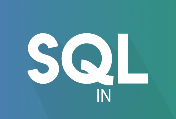 Return True - SQL - کار با IN در دیتابیس